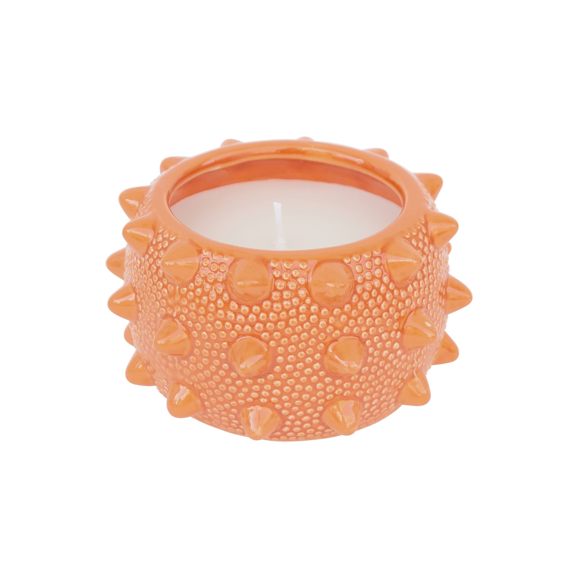 9oz. Citronella, Basil & Clove Scented Candle by Ashland®
